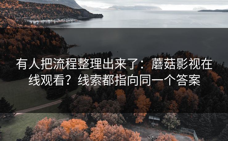 有人把流程整理出来了：蘑菇影视在线观看？线索都指向同一个答案