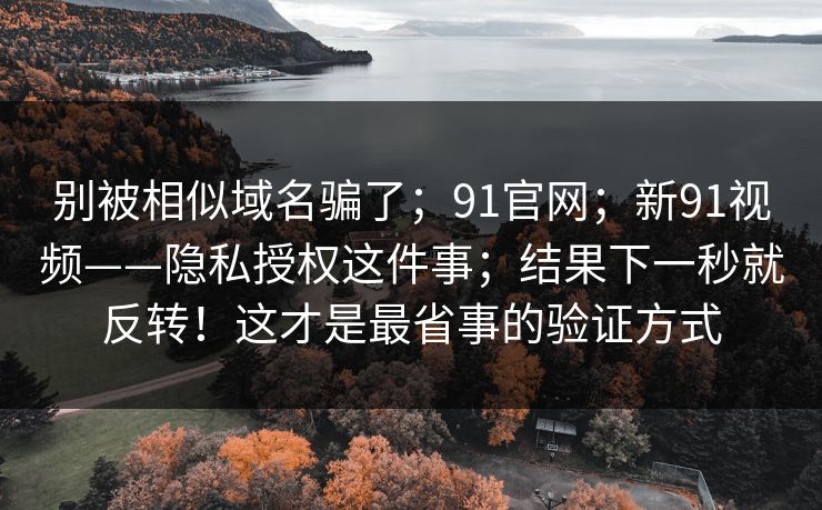别被相似域名骗了；91官网；新91视频——隐私授权这件事；结果下一秒就反转！这才是最省事的验证方式  第1张